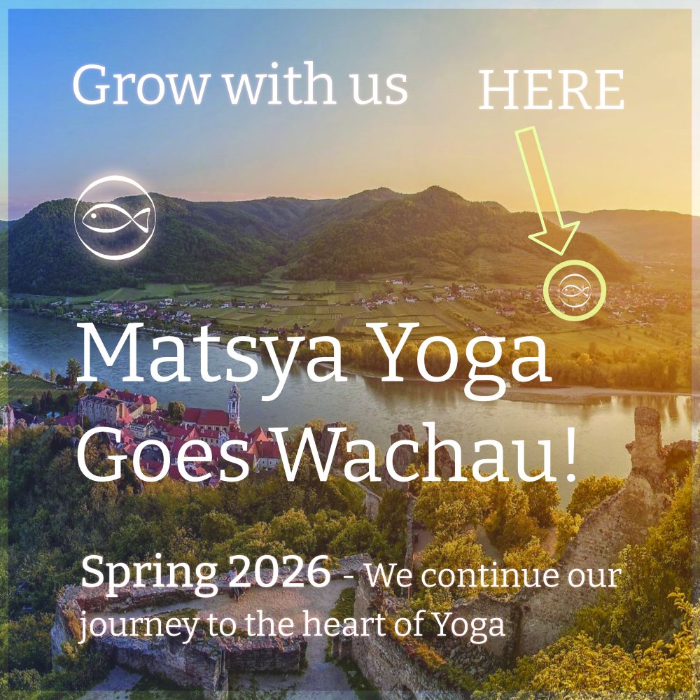 Matsya Yoga Teacher training wachau., yoga alliance österreich
