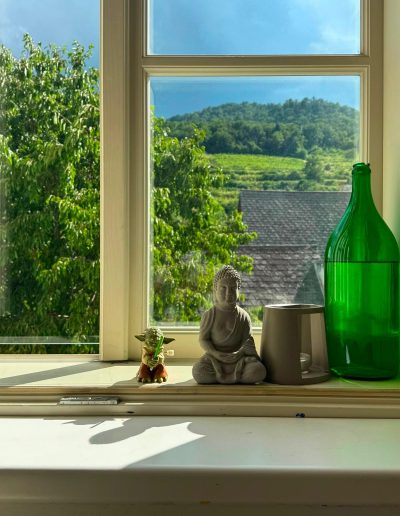 Yoga Lehrer Ausbildung Wachau