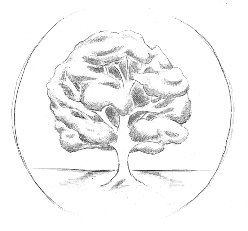 Tree of Life Yoga