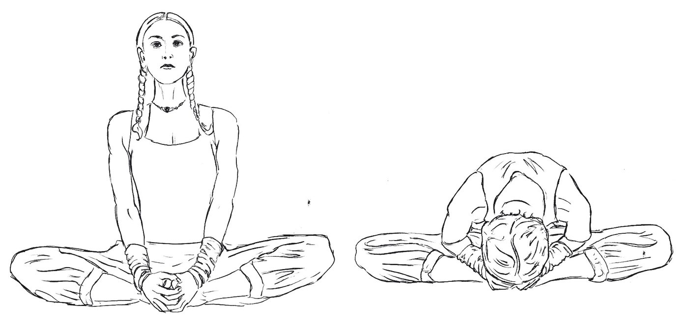 Titali Asana butterfly Pavanmuktasana 3, Baddha Konasana and forward bend, Shakti Bandha series drawing
